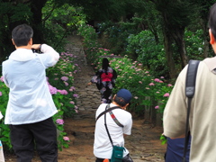 本光寺1
