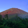 夕暮れの富士