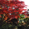 尚古荘の紅葉2