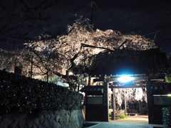 源空院2