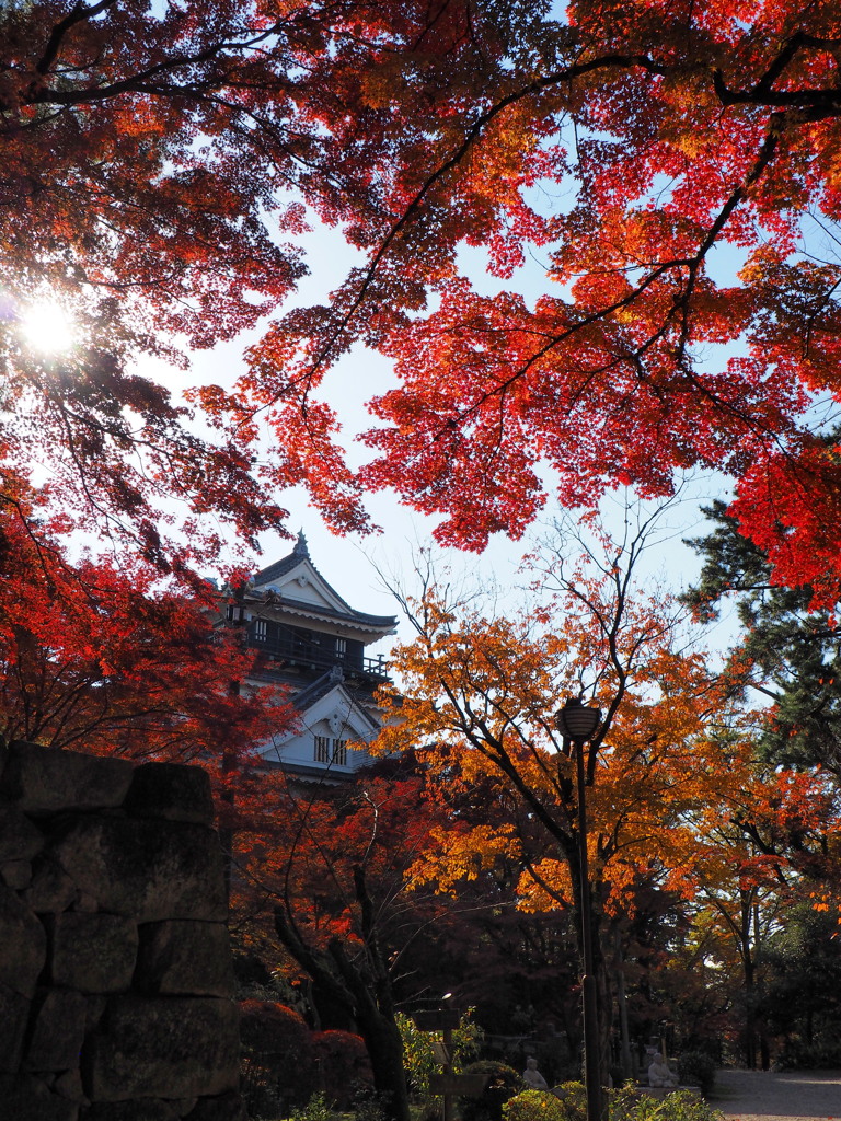 岡崎城の秋2