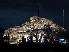 源空院1