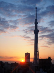 スカイツリーの朝