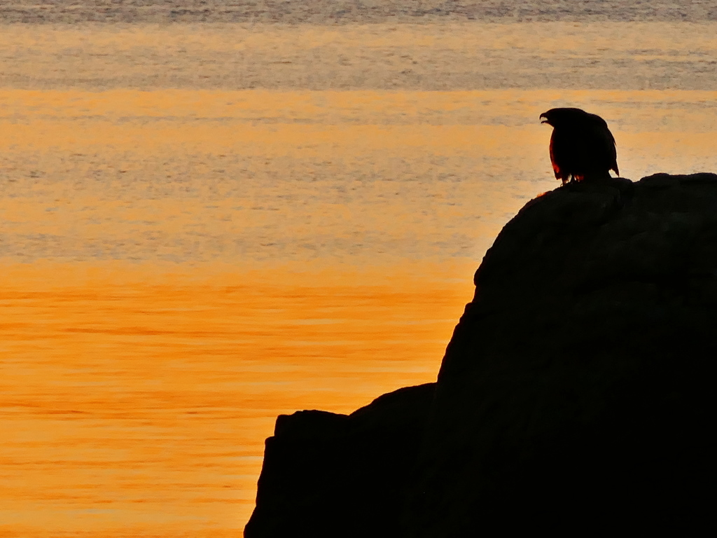三河湾の日の出４