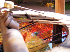 貞照院2