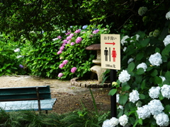 本光寺5