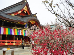 天神様の梅1