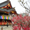 天神様の梅1