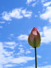 梅雨明け♪