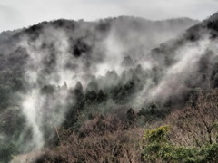平原の山