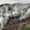 平原の山