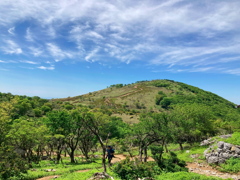 藤原岳山頂方面