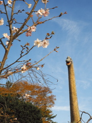 岡崎東公園4