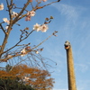 岡崎東公園4
