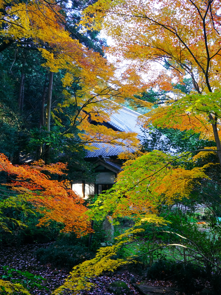 長圓寺3