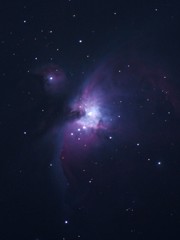 0317オリオン大星雲