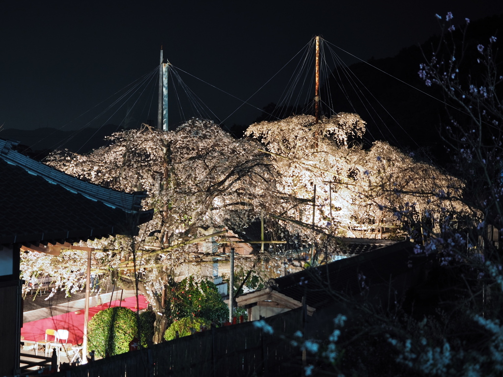 源空院3