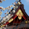 天神様の梅1
