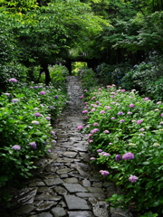 本光寺1