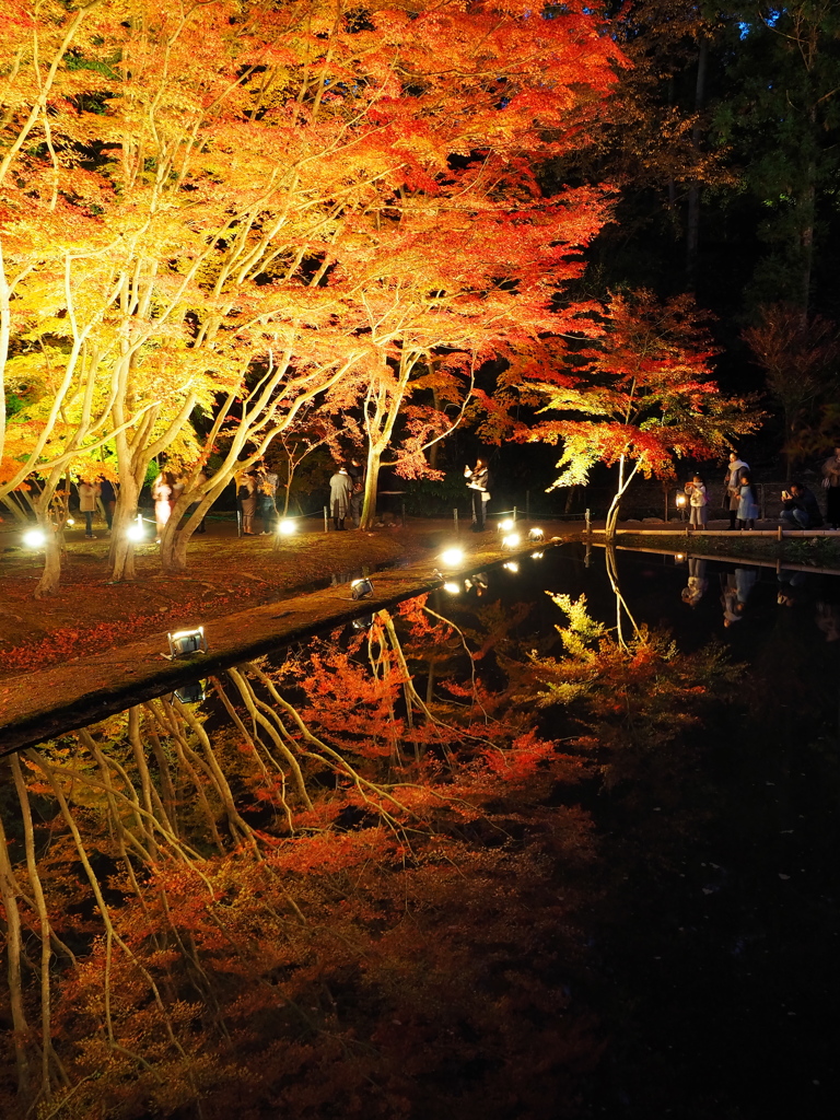 曽木公園4