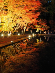 曽木公園4
