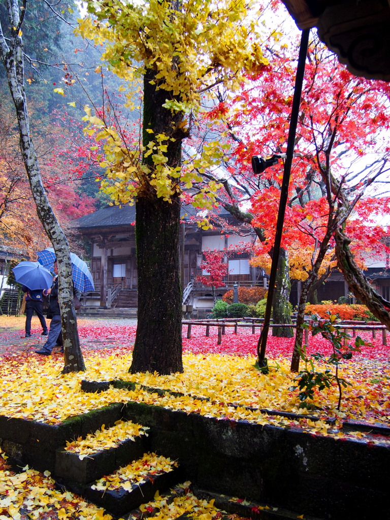 郡上八幡大乗寺1