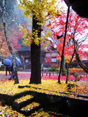 郡上八幡大乗寺1