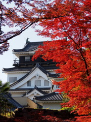 岡崎城の秋1