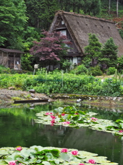 白川郷3