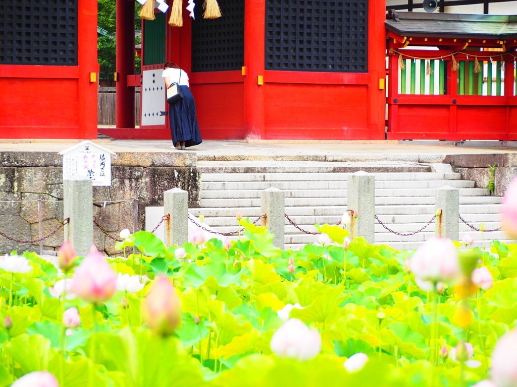 伊賀八幡1