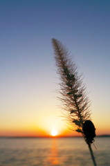 秋の夕景