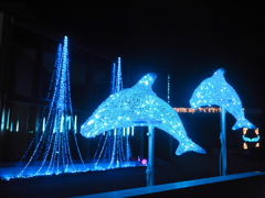 イルミネーション2