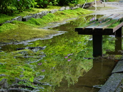 本光寺3