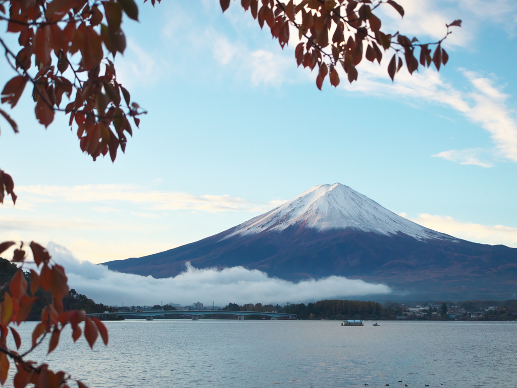 朝の河口湖より2