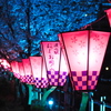 みどり川2