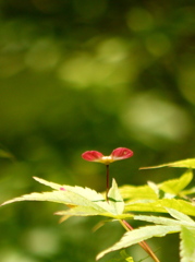 さあ～何処へ行こうか＾＾