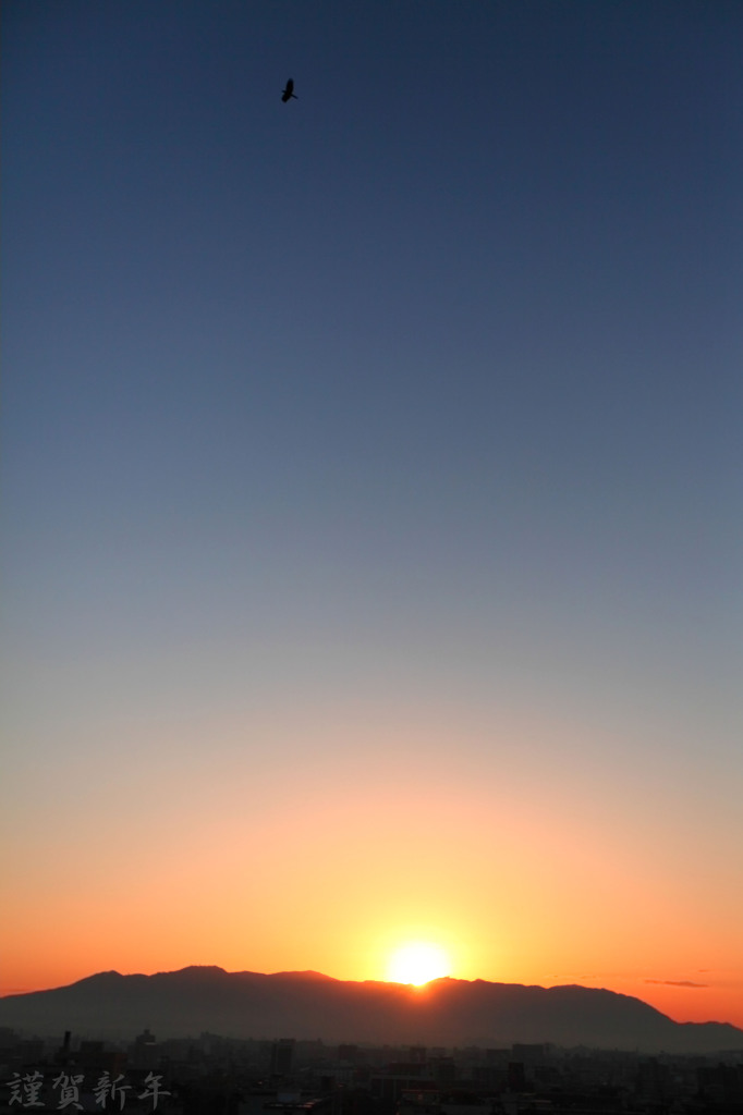 DPP_66189