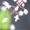 DPP_64354