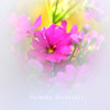 DPP_39042