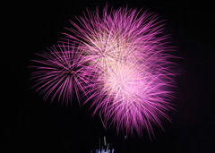 夜空に咲いた