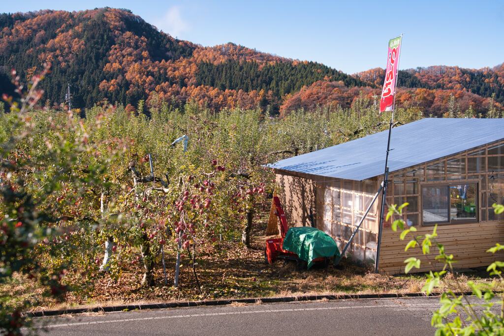 長野・地獄谷１