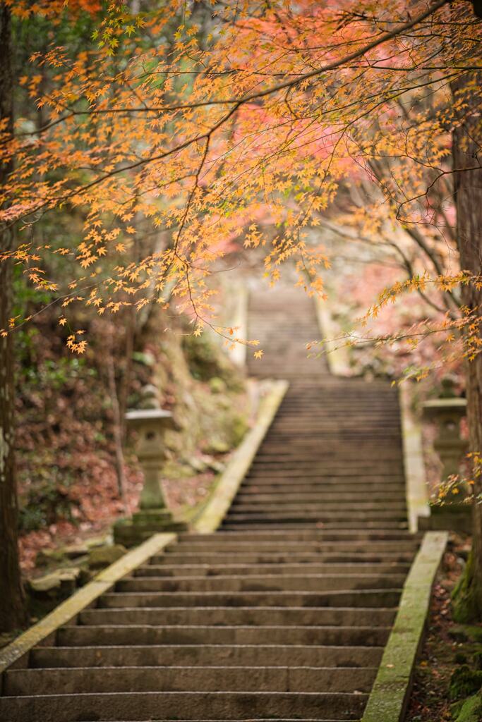 晩秋の佛通寺４