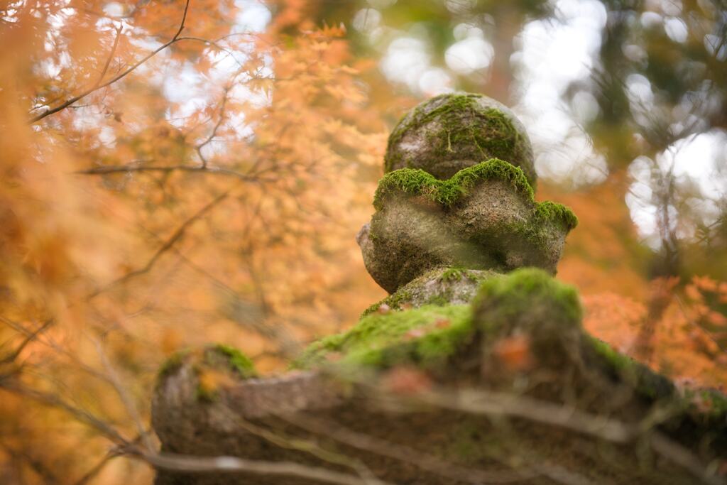 晩秋の佛通寺５