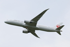 JAL BOEING787