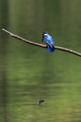 あっ！！！！！！！！