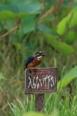 入らないで下さい 3