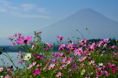 秋の富士山