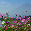 秋の富士山