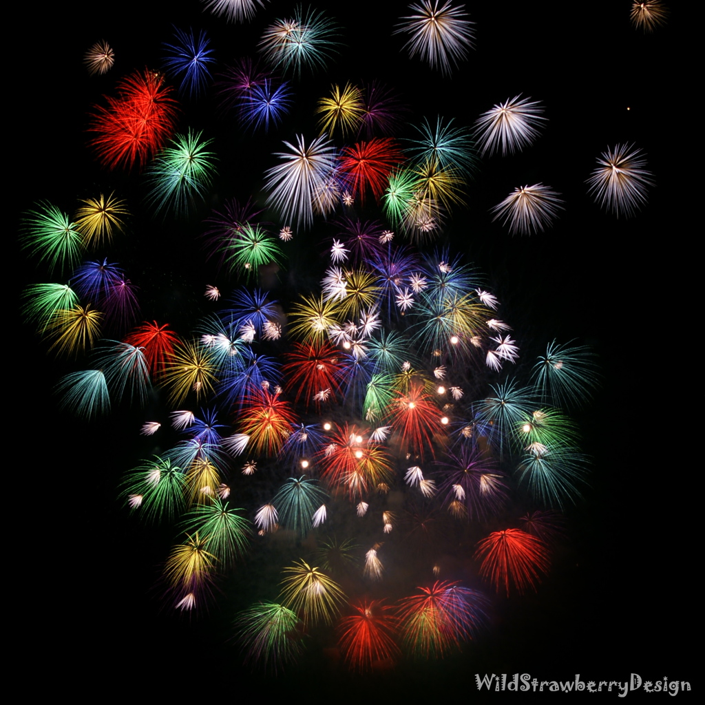 夜空に刹那の花