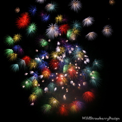 夜空に刹那の花